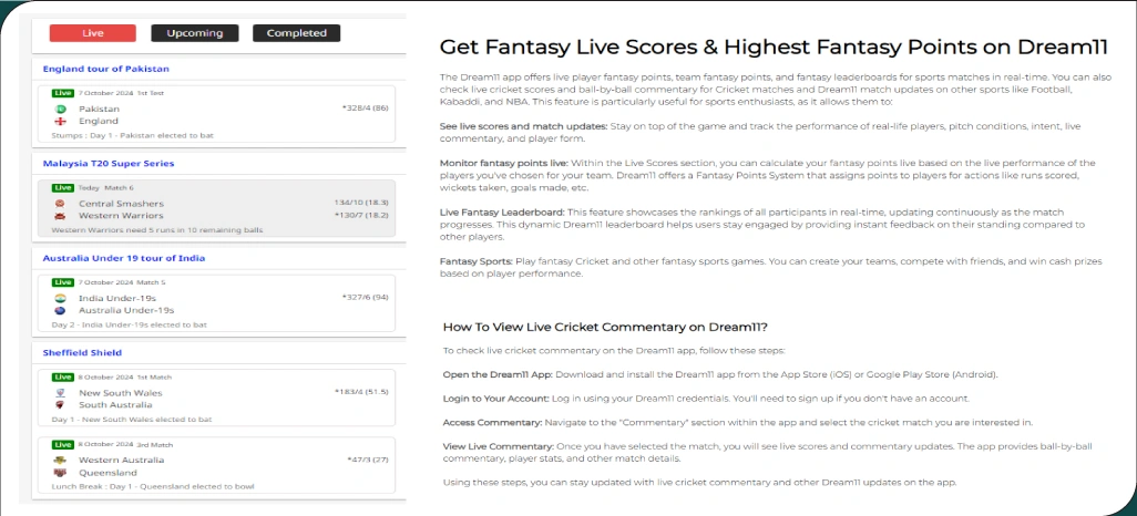 Types-of-Data-Available-Through-Dream11-Data-Scraping