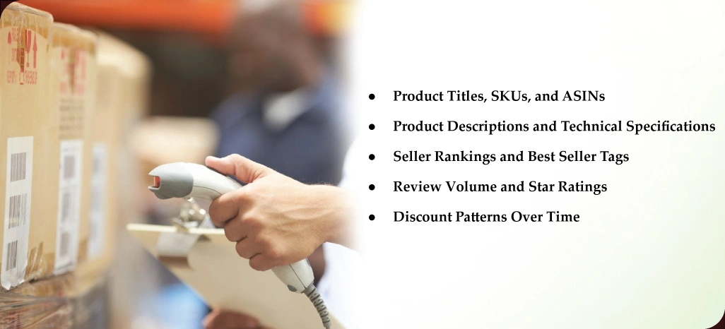 Go-Beyond-the-Numbers--Uncovering-Insights-That-Drive-Festival-Sales