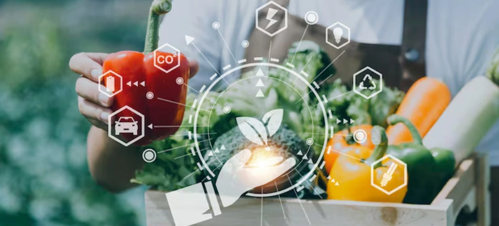 Optimizing Supply Chain Decisions Using External Intelligence