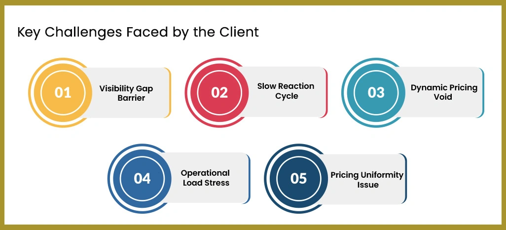 Key-Challenges-Faced-by-the-Client