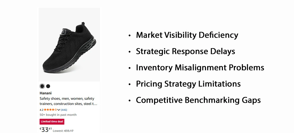 Key Challenges Faced by the Client