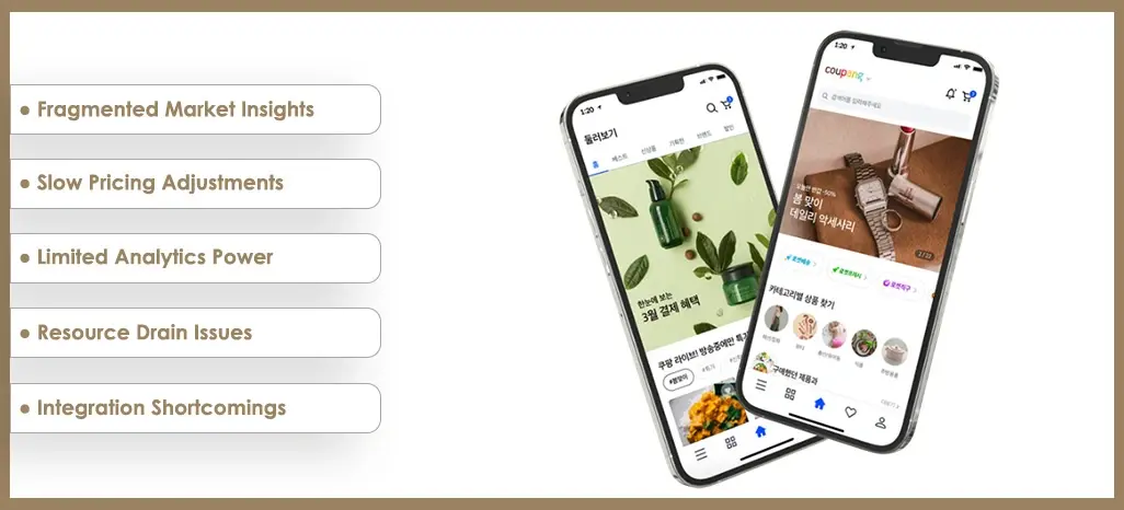 Key-Challenges-Faced-by-the-Client