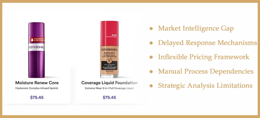 Key-Challenges-Faced-by-the-Client