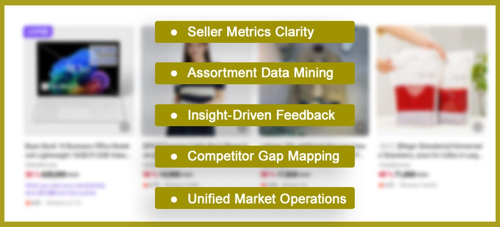 Key-Challenges-Faced-by-the-Client